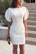 Women's Fashion Simple Round Sleeve Mini Dress