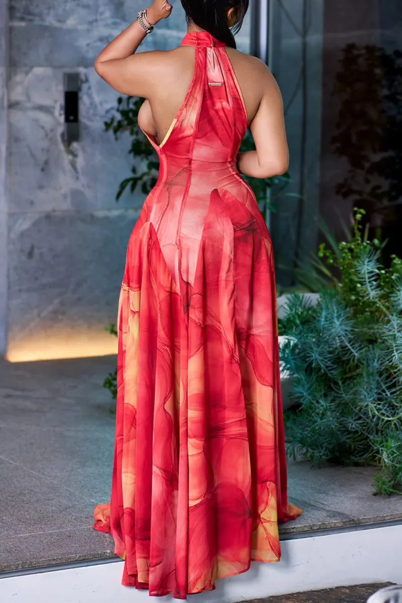 Women's Sexy Mesh Pattern Print Backless Maxi Dress
