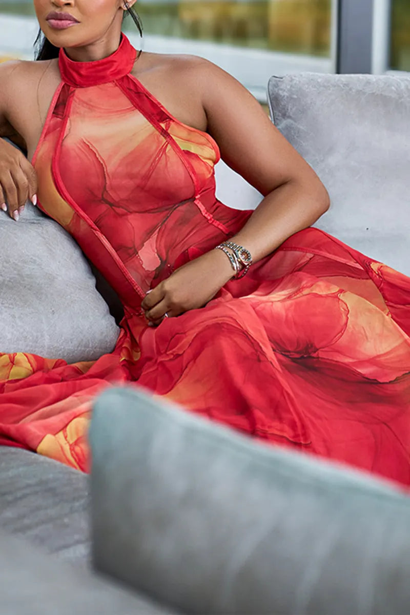 Women's Sexy Mesh Pattern Print Backless Maxi Dress